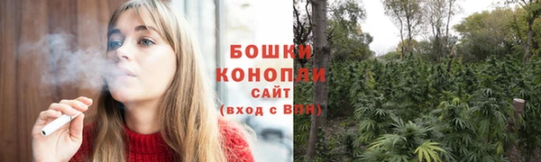 дурь Белокуриха
