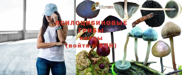 дурь Белокуриха