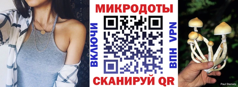 Псилоцибиновые грибы GOLDEN TEACHER  Шадринск 